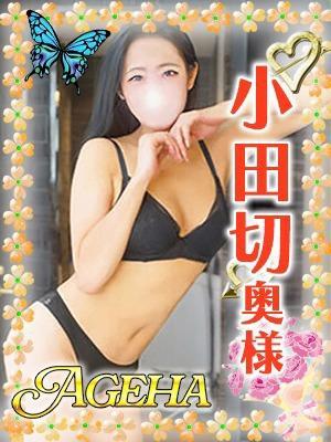 小田切(おだぎり)