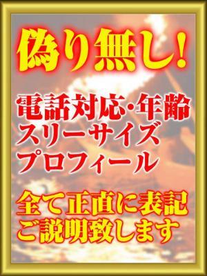 嘘、偽り無し