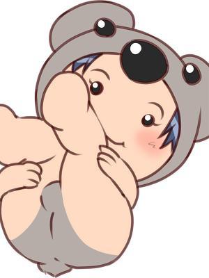 コアラ