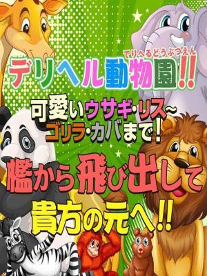 デリヘル動物園開園です