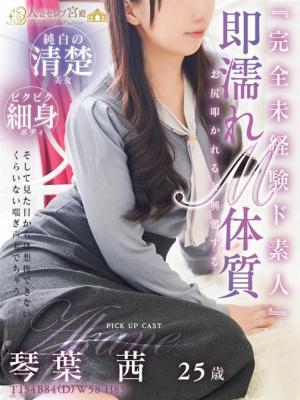 琴葉 茜