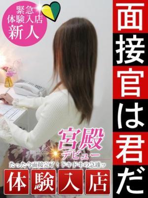 的矢 しのぶ
