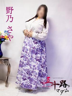野乃さや